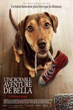 L'Incroyable aventure de Bella (A Dog?s Way Home) wiflix