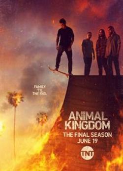 Animal Kingdom - Saison 6 wiflix