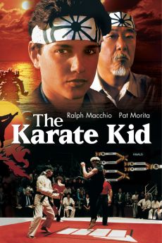 Karaté Kid (1984) wiflix