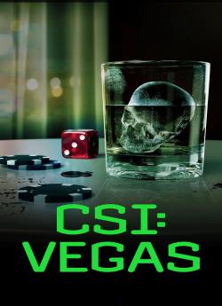CSI: Vegas - Saison 3 wiflix