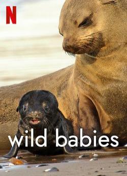 Wild Babies : Petits et Sauvages - Saison 1 wiflix
